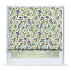 Тропические птицы